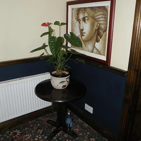 Couette-café Buggle's Pub And Kilrush