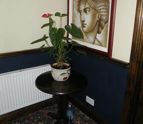 Bed & Breakfast Buggle's Pub And Kilrush